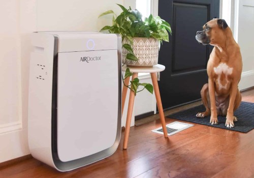 The Benefits of Using Air Purifiers for Allergies