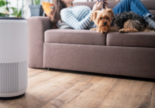 The Ultimate Guide to Choosing the Best Air Purifier for Your Home